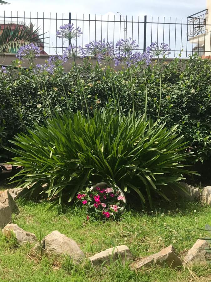 Lovely Little Apartment In Via Aurelia Рим Екстериор снимка